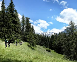 Alpine-Green-Experience-Bike-bosco-Ettore-Personettaz
