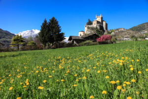 Alpine-Green-Experience-VALLE-D_AOSTA-Castello-Saint-Pierre-Enrico-Romanzi