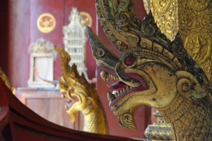 LAOS-1
