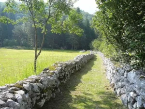 stradine-di-nembia